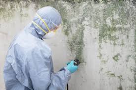 Best Mold Odor Removal Services  in Rushvle, IL